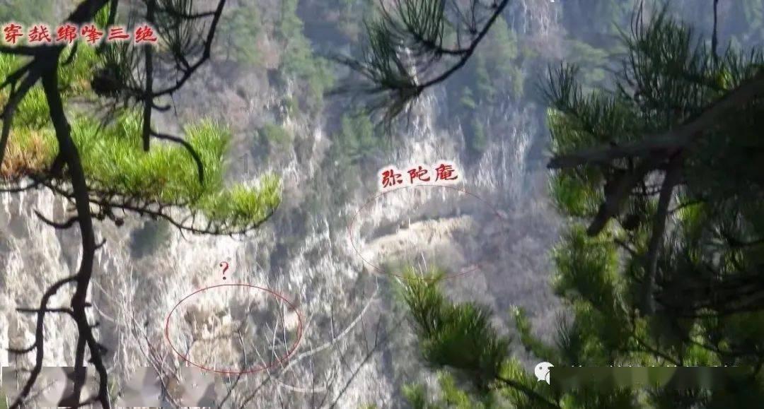 陈思诚和佟丽娅离婚了吗游戏画面