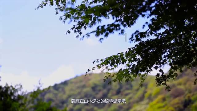 港股回购，创新高！腾讯、美团、小米都在买买买