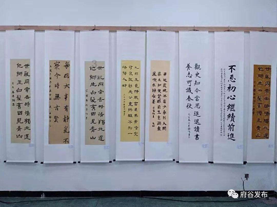 救援猫与武士